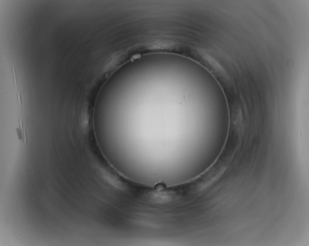 X0000115840261200911201558