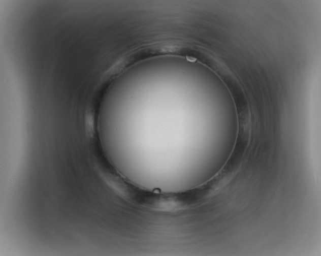 X0000115840262200911201558