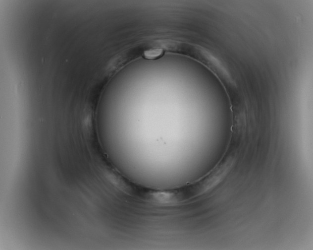 X0000115840265200911201558