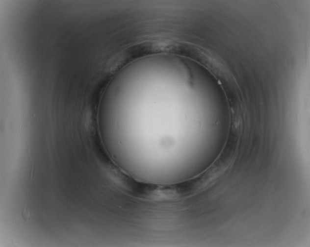 X0000115840270200911201558