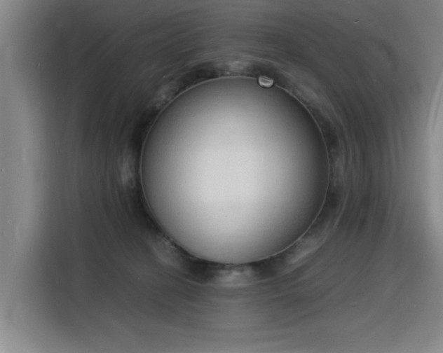 X0000115840274200911201559