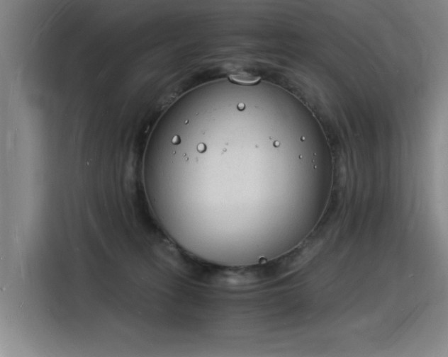 X0000115840275200911201559