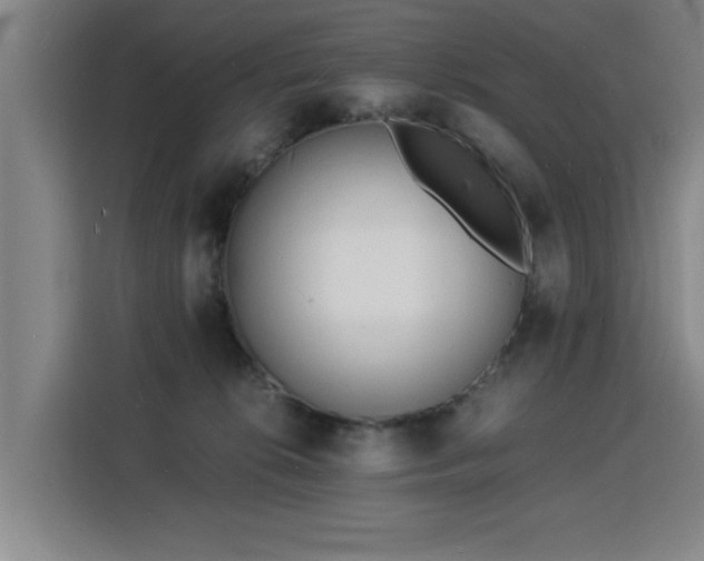 X0000115840276200911201559