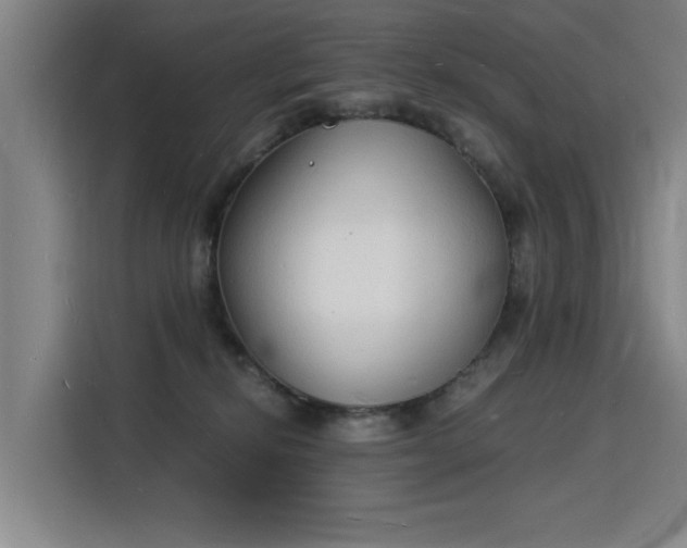 X0000115840278200911201559