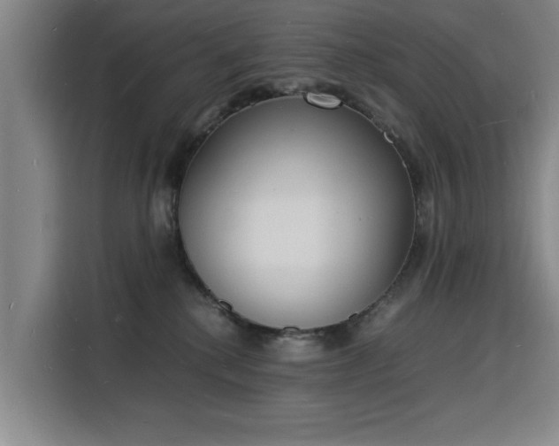 X0000115840280200911201559