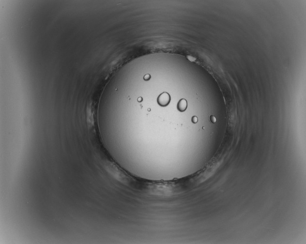 X0000115840282200911201559