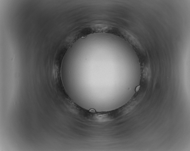 X0000115840283200911201559