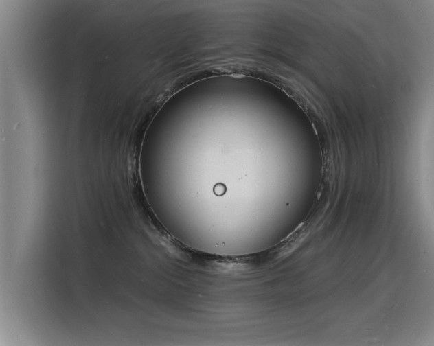 X0000115840284200911201559