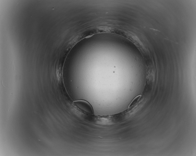 X0000115840285200911201559