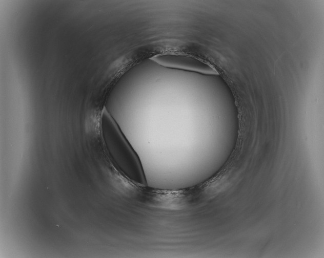 X0000115840288200911201559