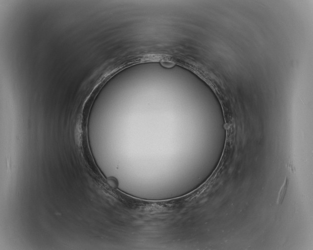 X0000115840290200911201558