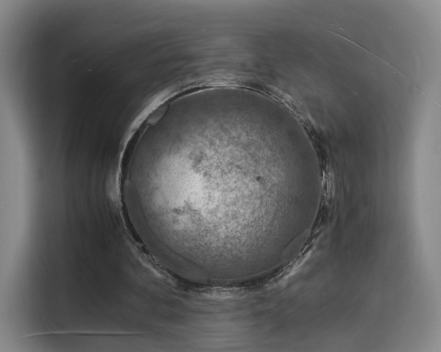 X0000115840292200911201558