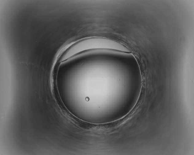 X0000115840294200911201558