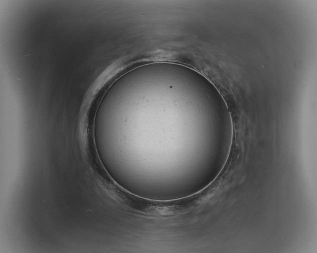 X0000115840295200911201558