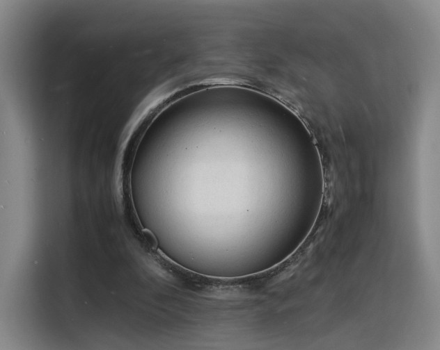 X0000115840296200911201558