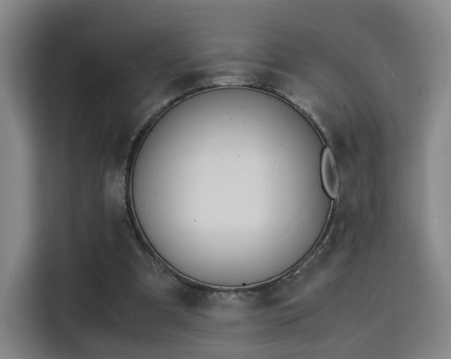 X0000115840297200911201558
