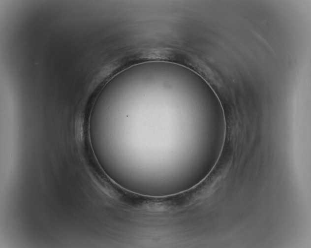 X0000115840299200911201558