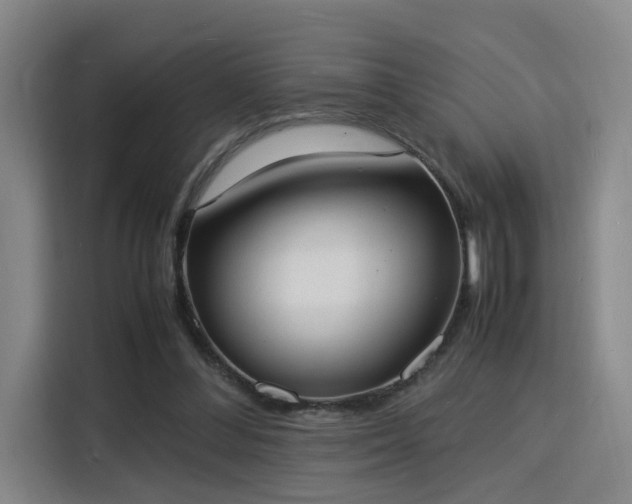 X0000115840300200911201558