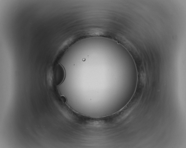 X0000115840304200911201558