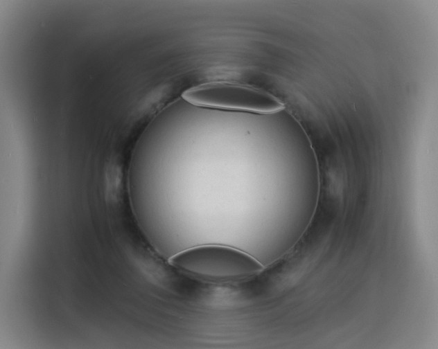 X0000115840308200911201558