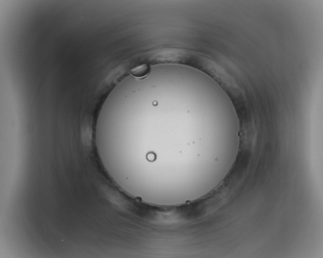X0000115840309200911201558