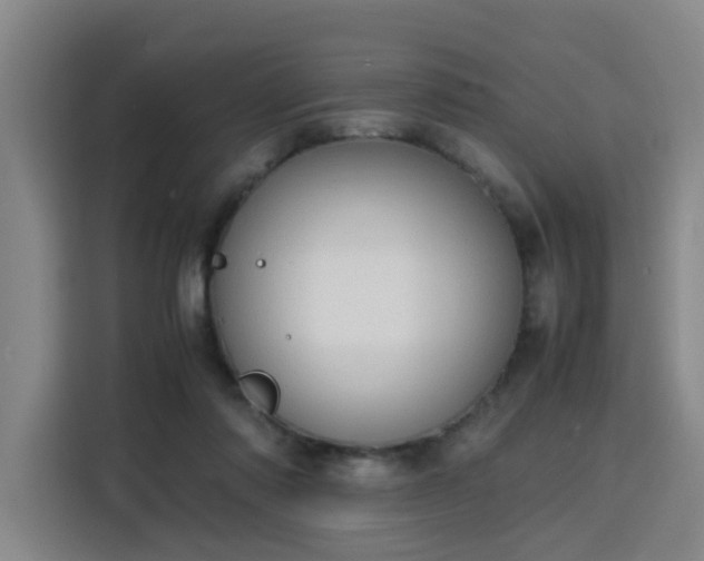 X0000115840310200911201558