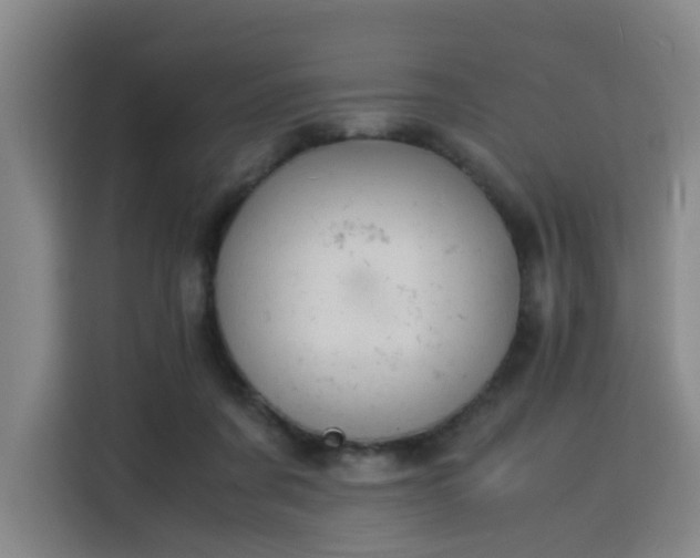 X0000115840311200911201558