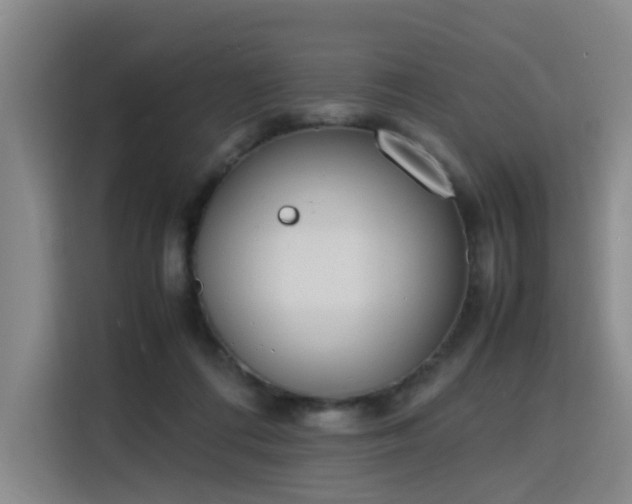 X0000115840312200911201558
