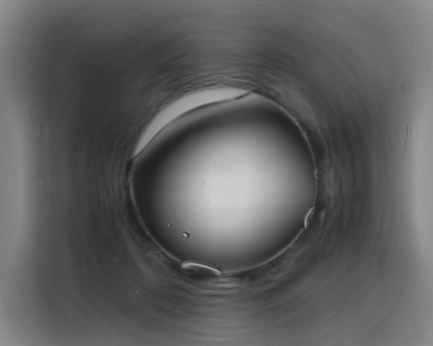 X0000115840316200911201558