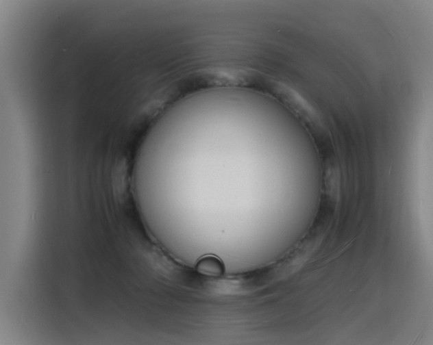 X0000115840318200911201558