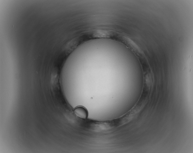 X0000115840322200911201558