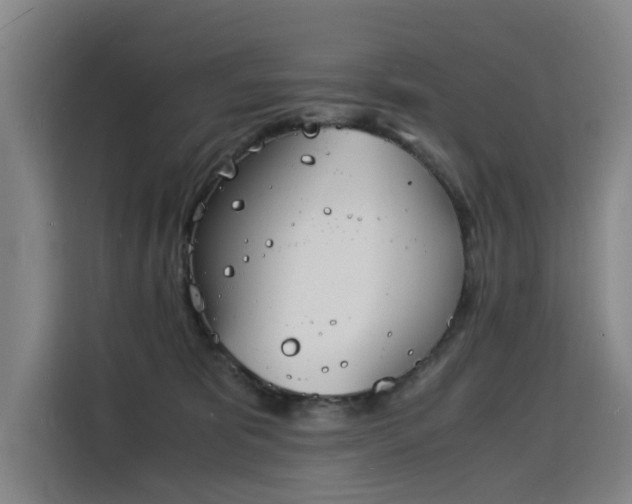 X0000115840325200911201558