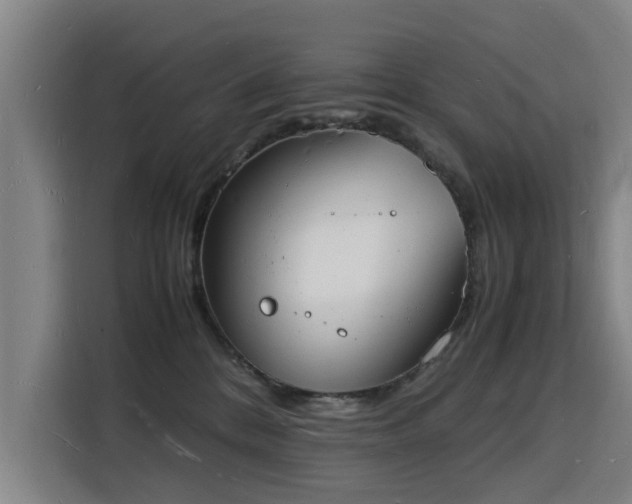 X0000115840328200911201558