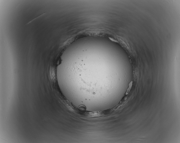 X0000115840335200911201557