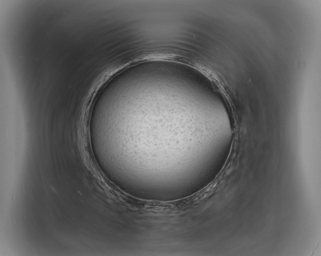 X0000115840337200911201557