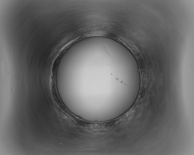 X0000115840338200911201557