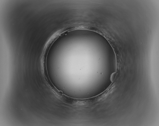 X0000115840341200911201557