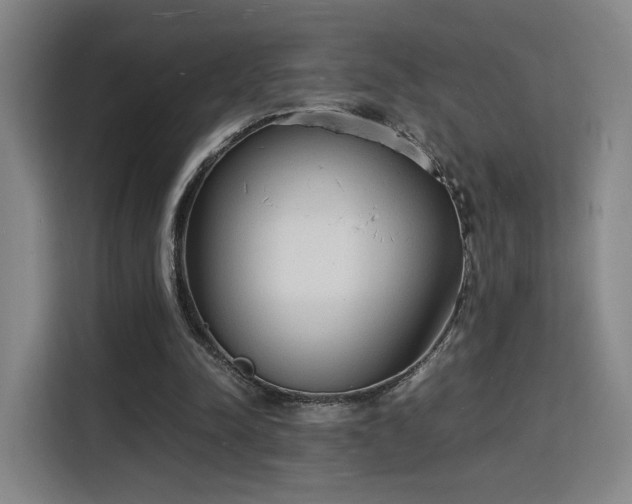 X0000115840342200911201557