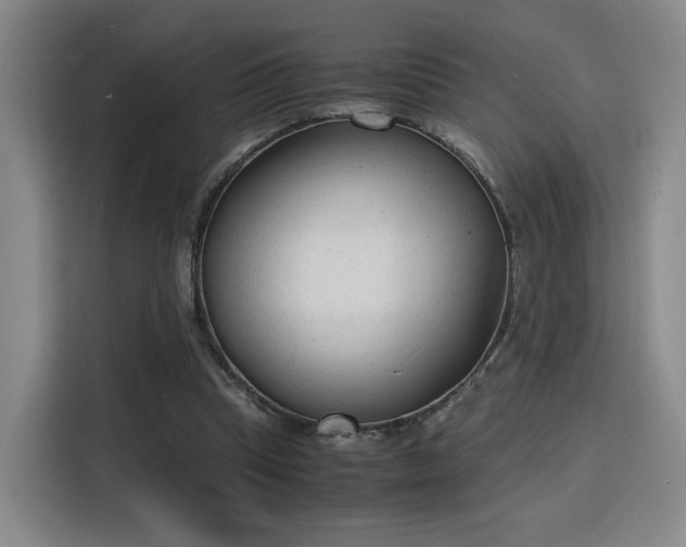 X0000115840345200911201557