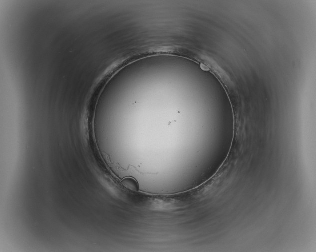 X0000115840346200911201557