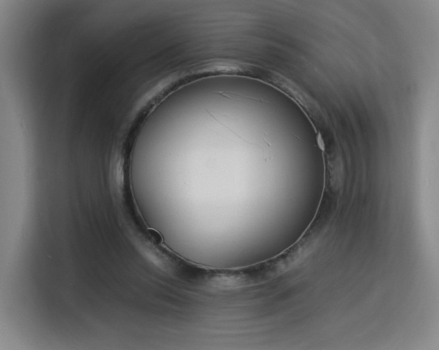 X0000115840350200911201557