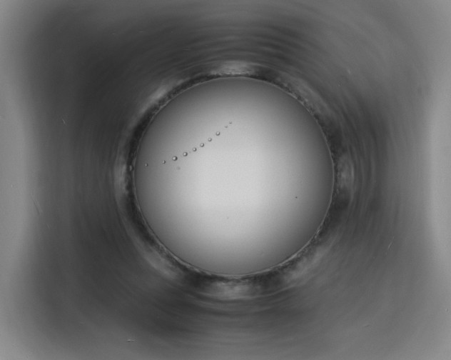 X0000115840351200911201557