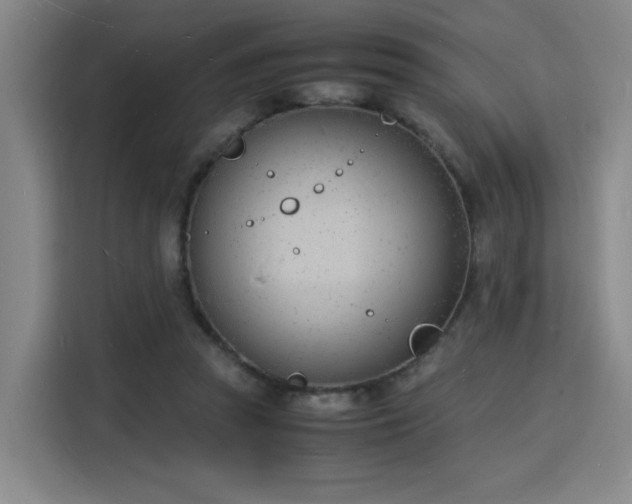 X0000115840353200911201557