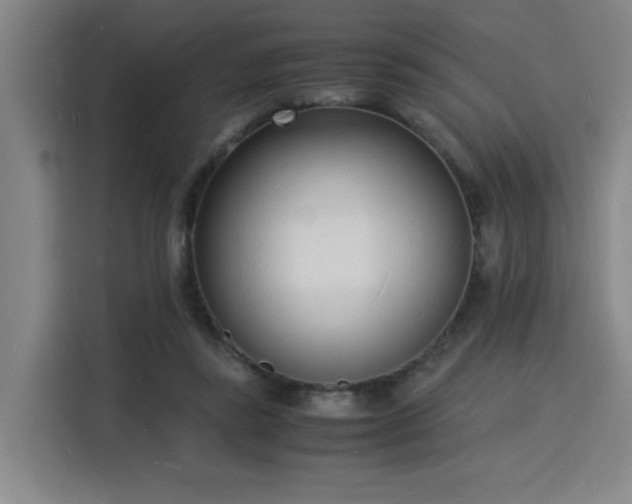 X0000115840355200911201557