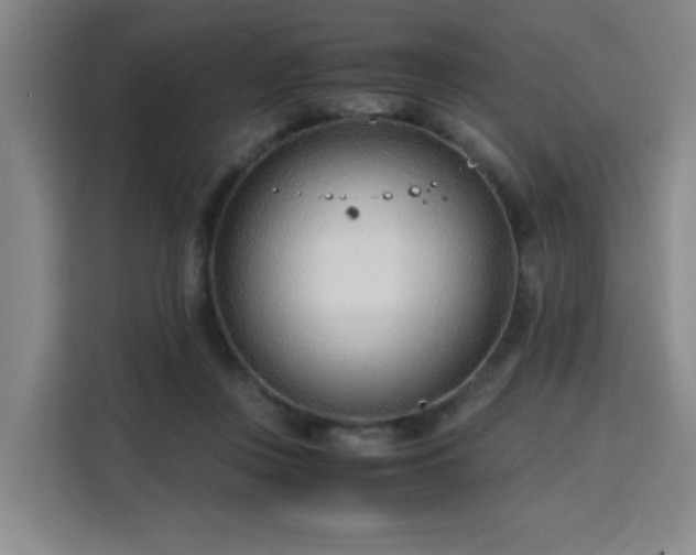 X0000115840359200911201557