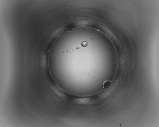 X0000115840361200911201557