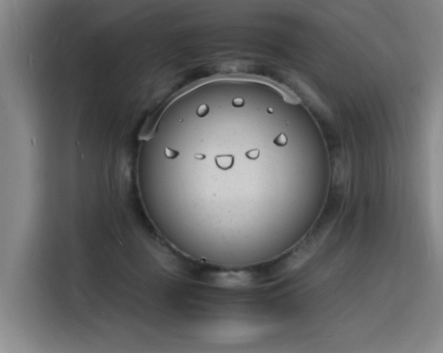 X0000115840363200911201557