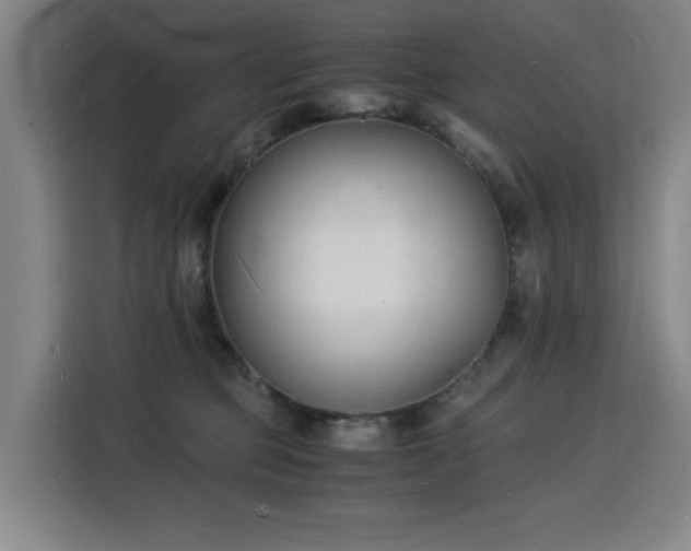 X0000115840373200911201557