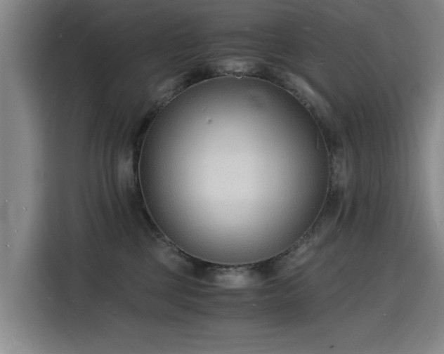 X0000115840377200911201557