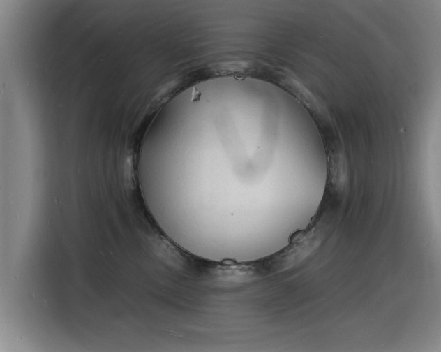 X0000115840378200911201557